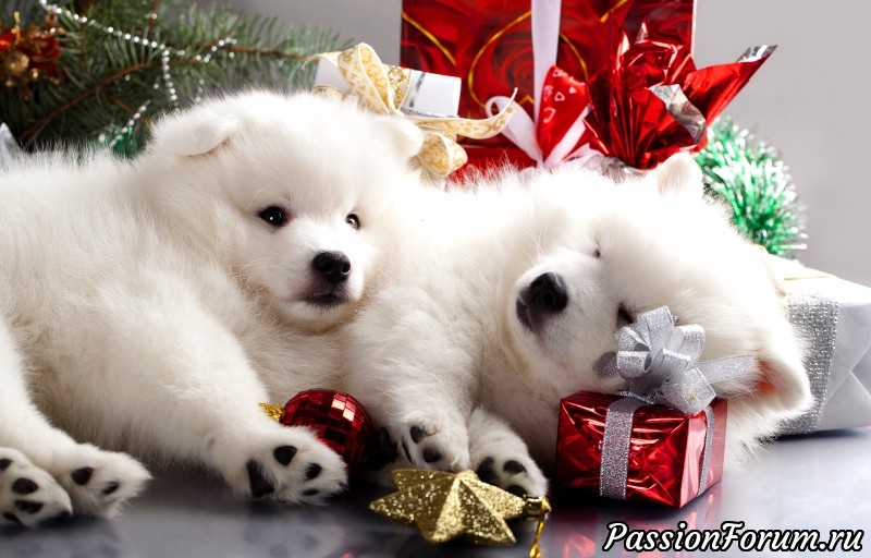 С Новым Годом!