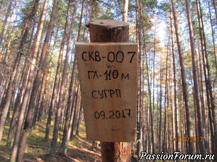 Может, это – бабье лето? Может, это – бабье лето?
