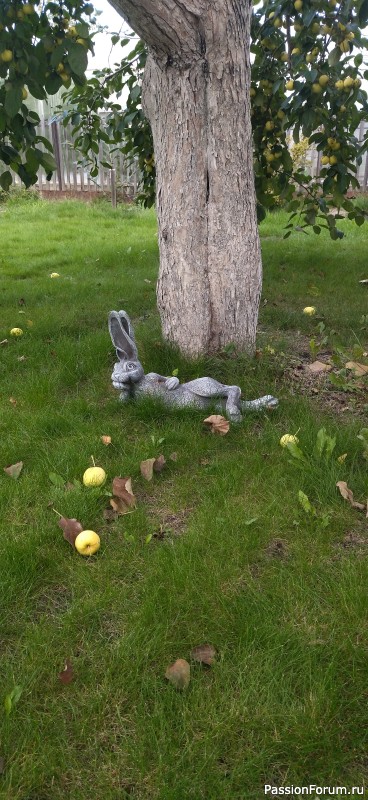 Ротангомания продолжается