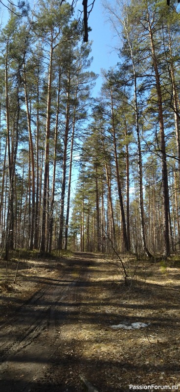 Три активных дня было у меня… День третий. Окончание