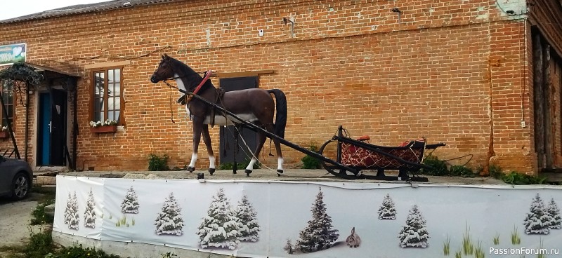 Не могу не поделиться с вами