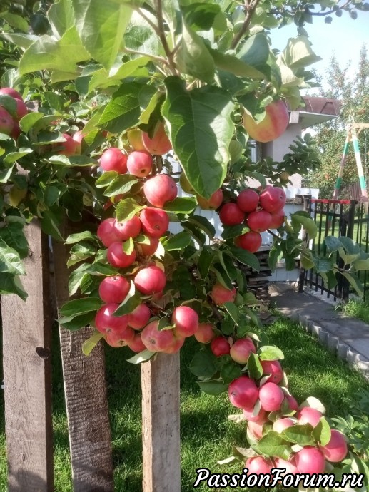 Гамарджоба, Генацвале! Или встречи продолжаются!