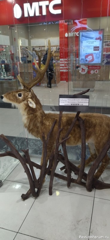 Есть город матросов..... (из песни)