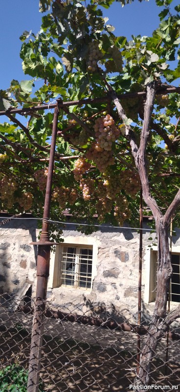 А за тобою Арарат, Армения моя... Окончание