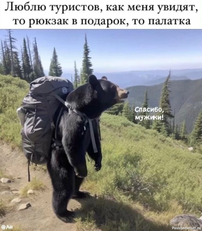 Кусь Вам, а не Курилы. Окончание путешествия.