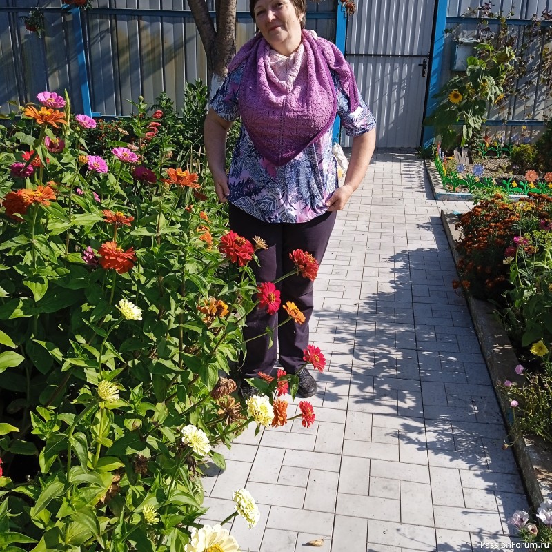 Бактусы