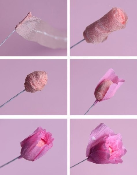 Розы из гофрированной бумаги своими руками - фото мастер-класс фото 2