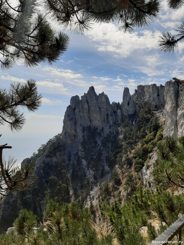 Слет в Крыму. Мои впечатления.