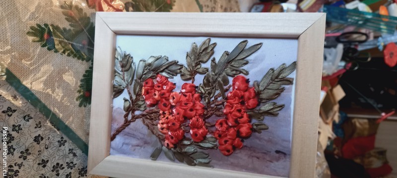 Ветка калины Ветка калины