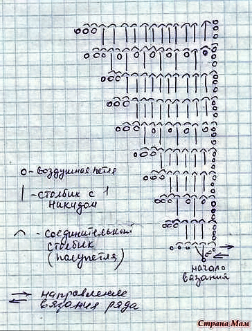 Бактус "Лавандовое настроение"