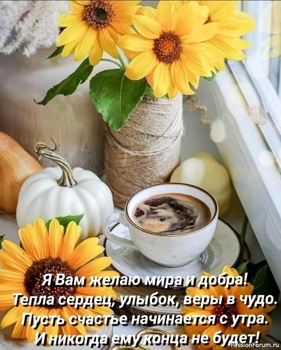 Долгожданная встреча после долгого перерыва.