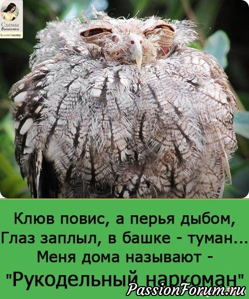 Давайте улыбнемся! Давайте улыбнемся!