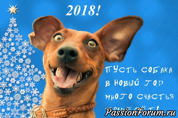 С наступающим всех, �овым годом, Таксы! С наступающим всех, �овым годом, Таксы!