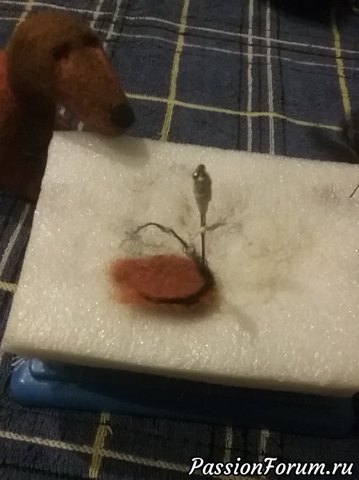 Нижняя челюсть. Нижняя челюсть.