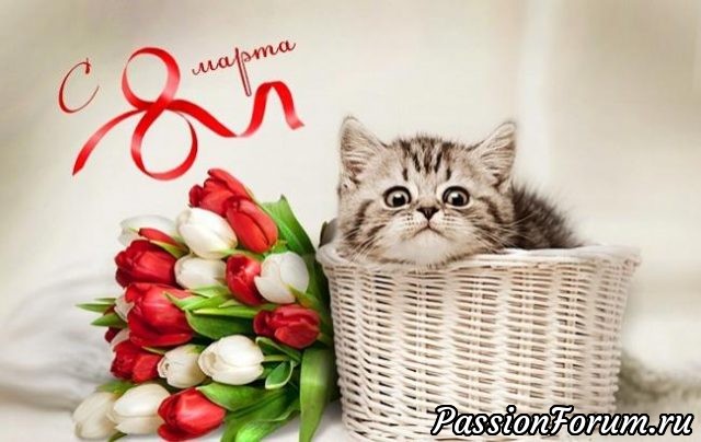 ПОЗДРАВЛЯЮ!