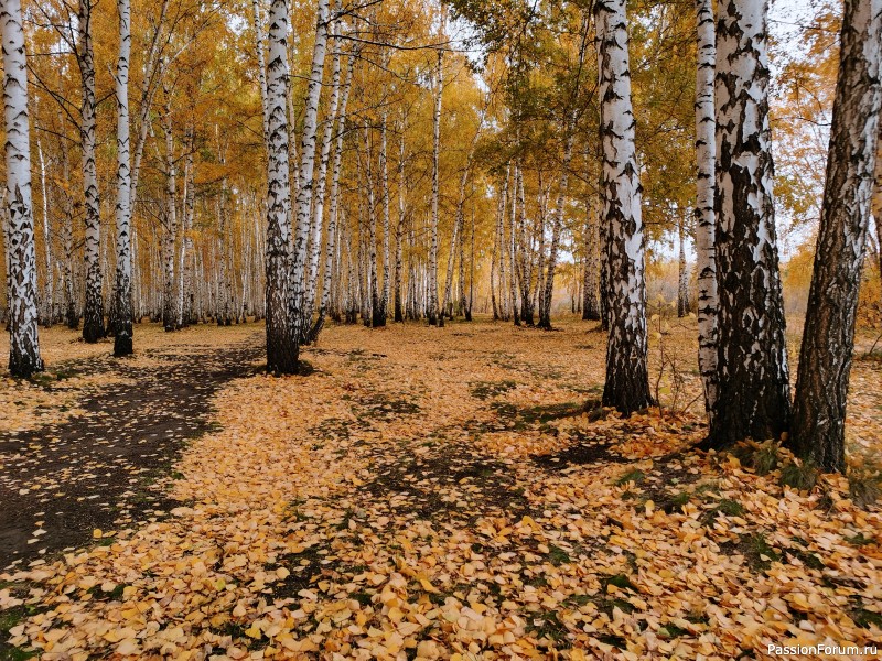 Прогулка по октябрю