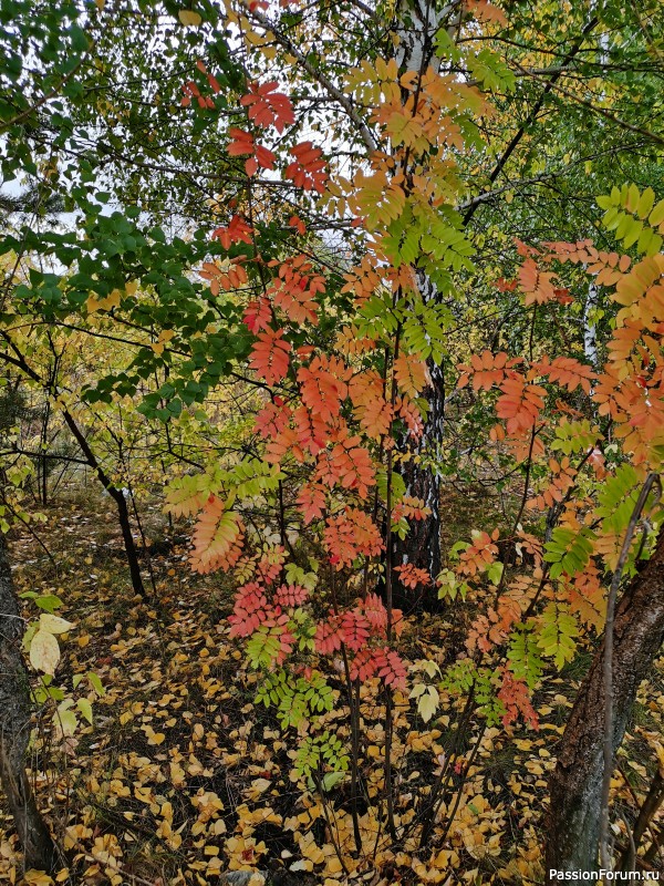 Мои фотозарисовки