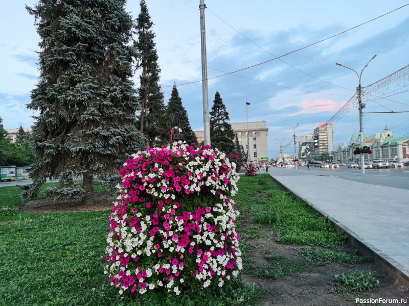 Новосибирск - город парков, скверов и цветов! (фото зарисовки) продолжение прогулки
