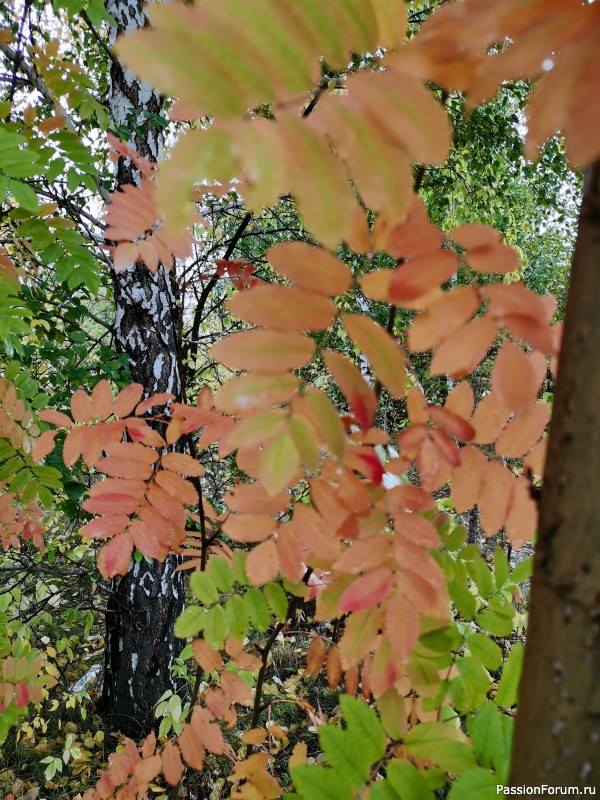 Мои фотозарисовки