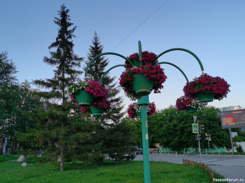 Новосибирск - город парков, скверов и цветов! (фото зарисовки) продолжение прогулки