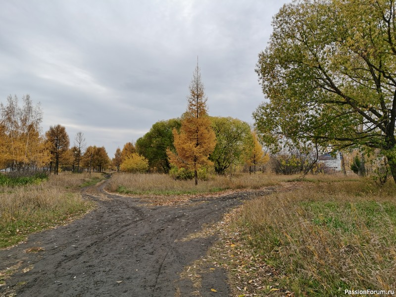 Прогулка по октябрю