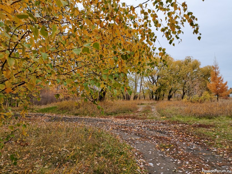 Прогулка по октябрю