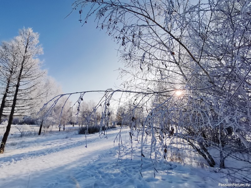 Фотозарисовки