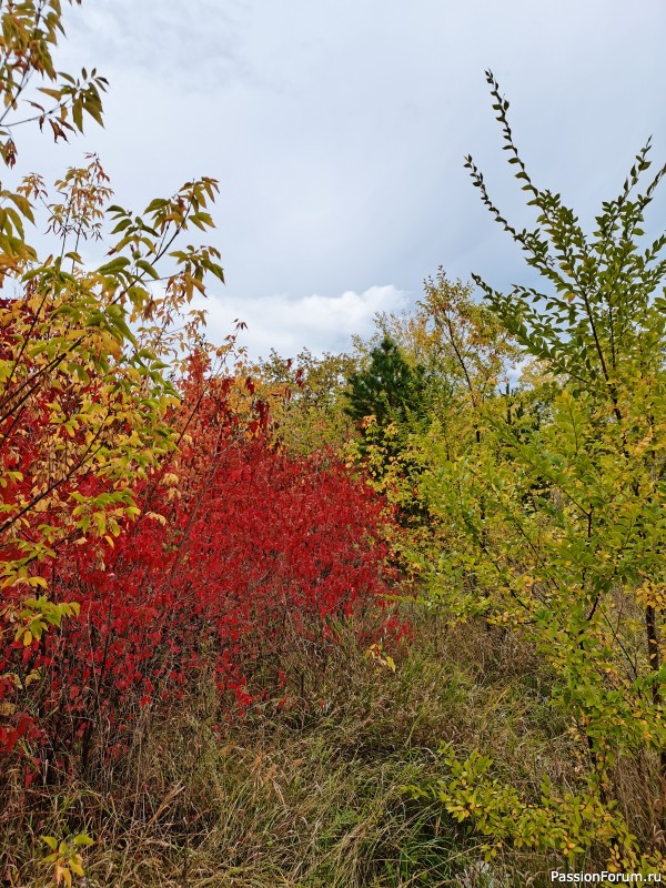 Мои фотозарисовки