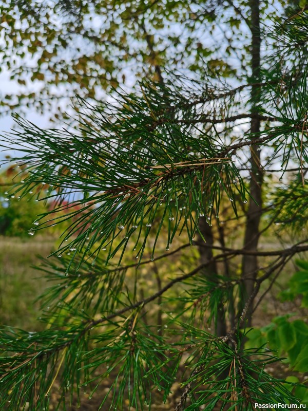 Мои фотозарисовки
