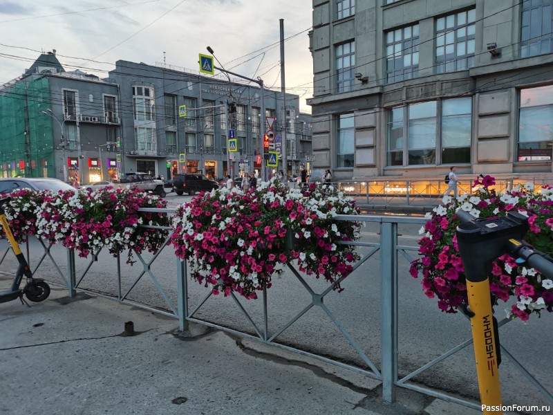 Новосибирск - город парков, скверов и цветов! (фото зарисовки) продолжение прогулки