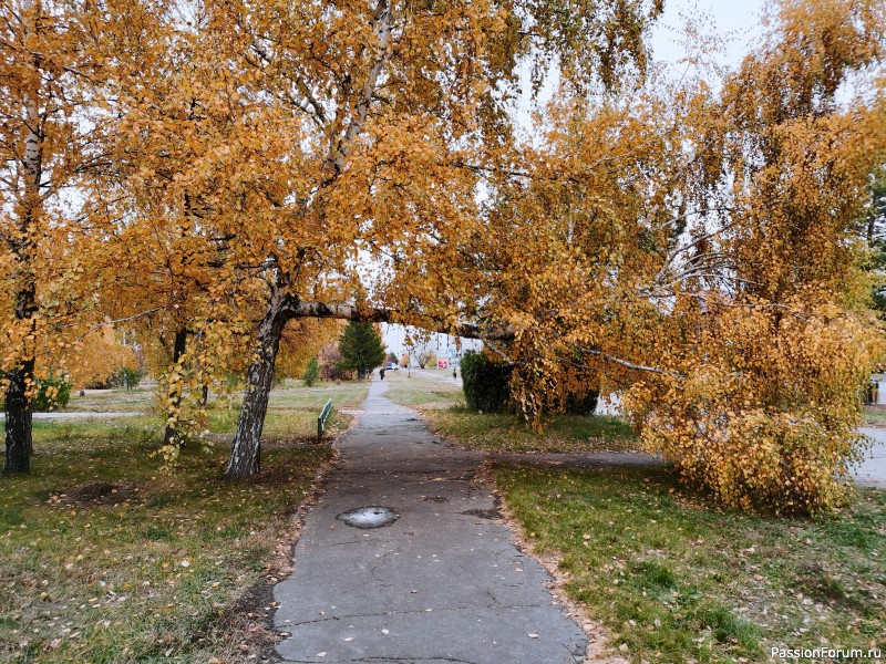 Прогулка по октябрю