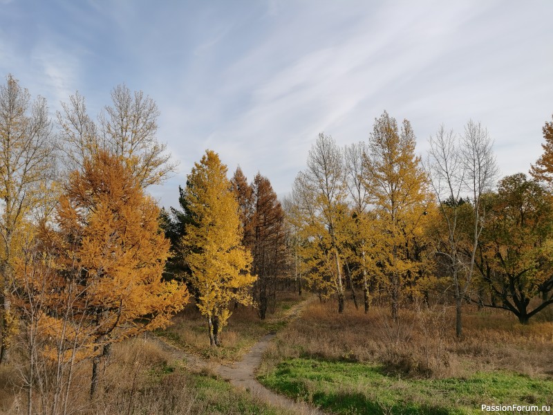 Прогулка по октябрю