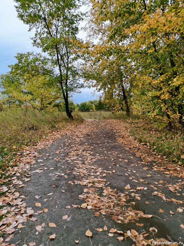 Мои фотозарисовки