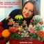 Voronova Yulia-koshkakoshka21 (Воронова Юлия)