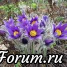 Поздравляю