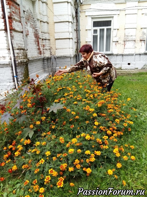 вот с этой милой женщиной я тоже пообщалась, господи, какая же разница между людьми в столице и в провинции.
Никто никуда не торопится, все рады общению, эта женщина рассказала мне про свои клумбы, за которыми она ухаживает одна, нарвала мне разных семян, надавала много советов как и когда их сажать вот с этой милой женщиной я тоже пообщалась, господи, какая же разница между людьми в столице и в провинции.
Никто никуда не торопится, все рады общению, эта женщина рассказала мне про свои клумбы, за которыми она ухаживает одна, нарвала мне разных семян, надавала много советов как и когда их сажать