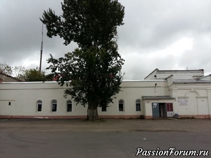вот она в фас вот она в фас
