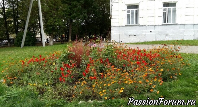 Блиц путешествие по рязанской области или может ли стоить свидетельство о рождении 10 000 руб.