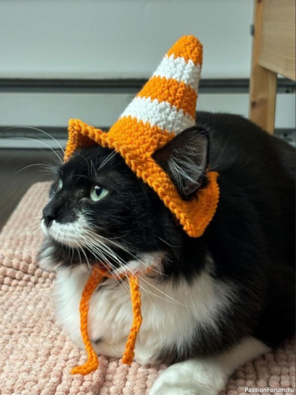 Вязаные шапочки для кота