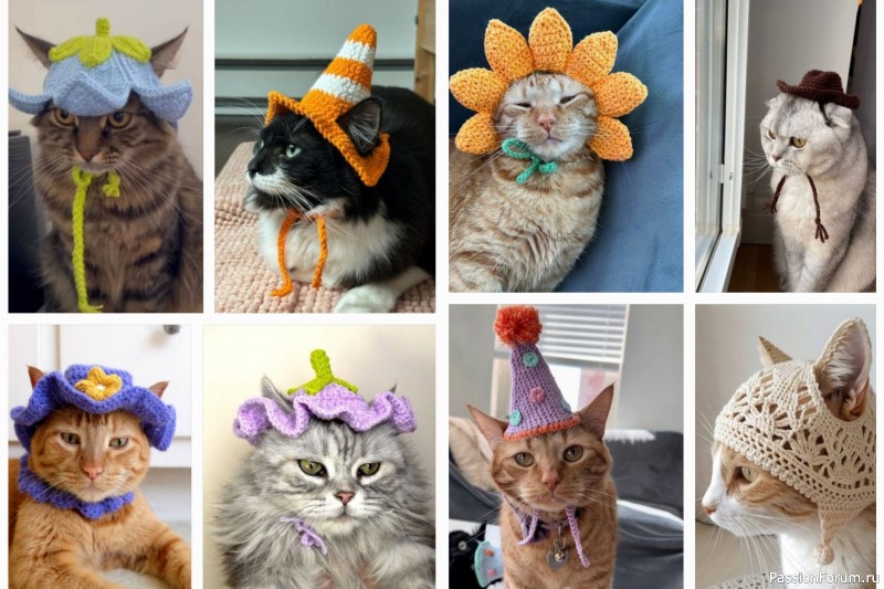 Вязаные шапочки для кота