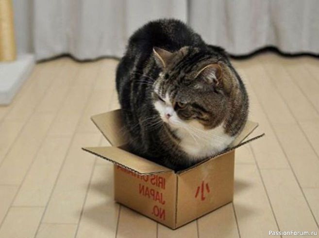 Лайфхак для кошатника