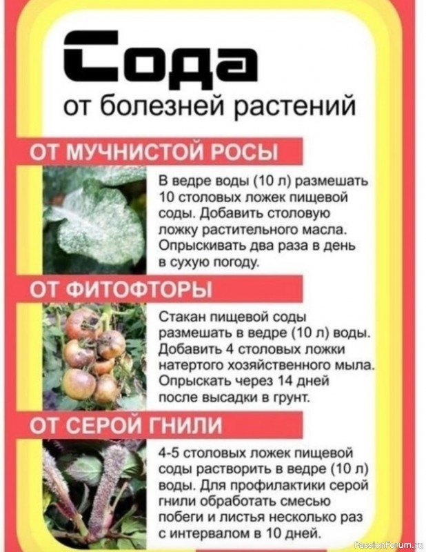 Сoдa - унивeрсальнoe cpeдcтвo в огоpоде
