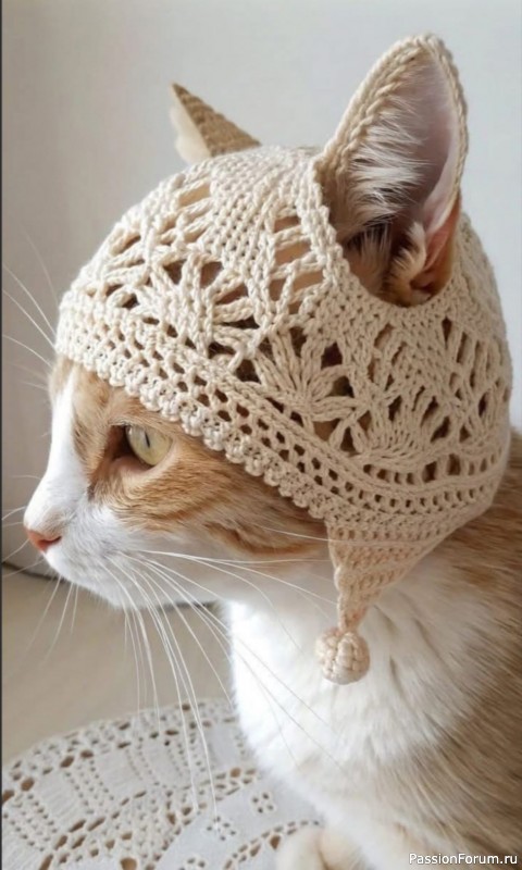 Вязаные шапочки для кота