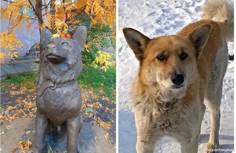 В Иркутске увековечили память всеми любимого уличного пса