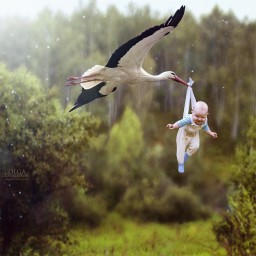 Anna_asy Anna_asy
