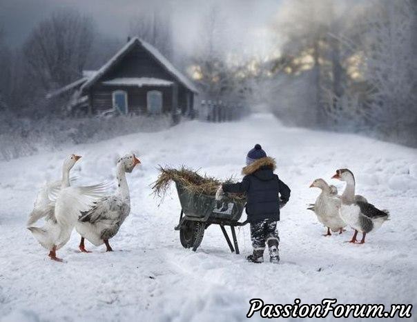 ОНА НИКОГДА НЕ ВИДЕЛА МОРЯ, НИ РАЗУ В ЖИЗНИ...