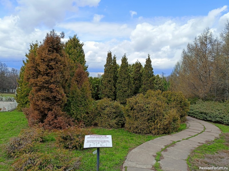 Уфимские впечатления