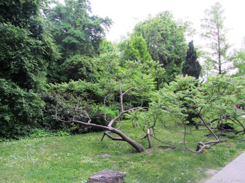 Болеро Маргит и чуть-чуть Будапешта