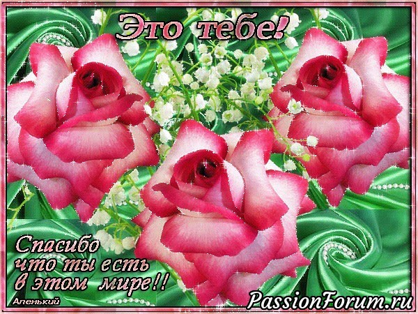Мечты сбываются!