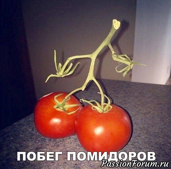 Хорошего настроения!!!